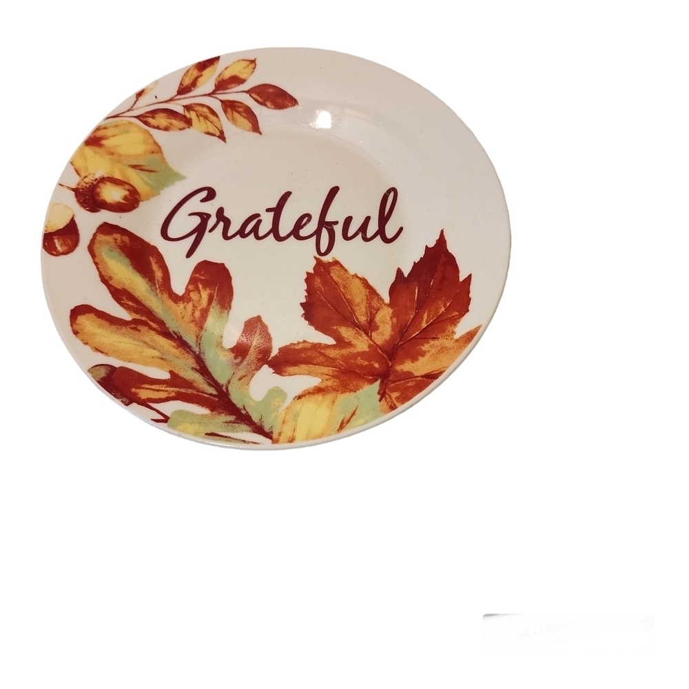 Fall Harvest Grateful S/4 Side Salad Acorn Plates Stoneware